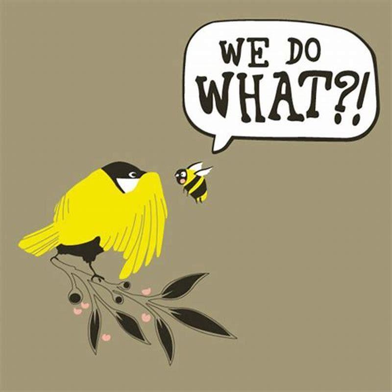 why-do-they-call-the-talk-birds-and-the-bees-diy-seattle