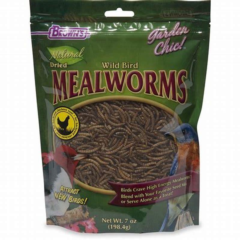 Will doves eat dried mealworms?