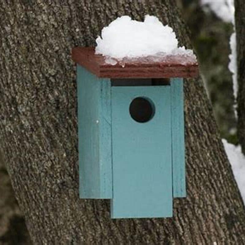 Do all birds use birdhouses?