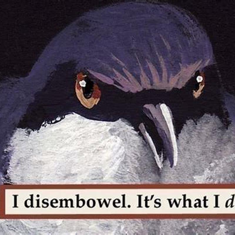 Do birds work after midnight?