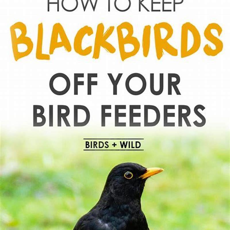 Do rusty blackbirds come feeder?