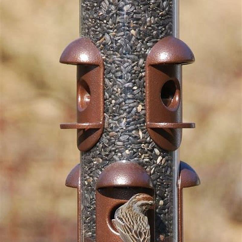 How do I feed birds to my backyard?