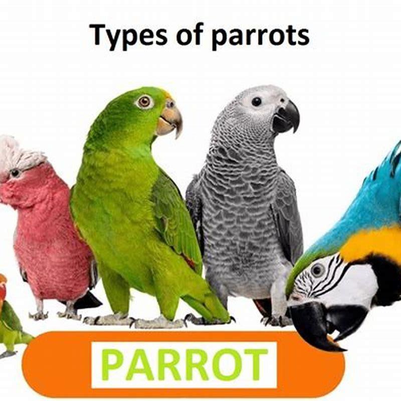 How many kind of parrots are there?