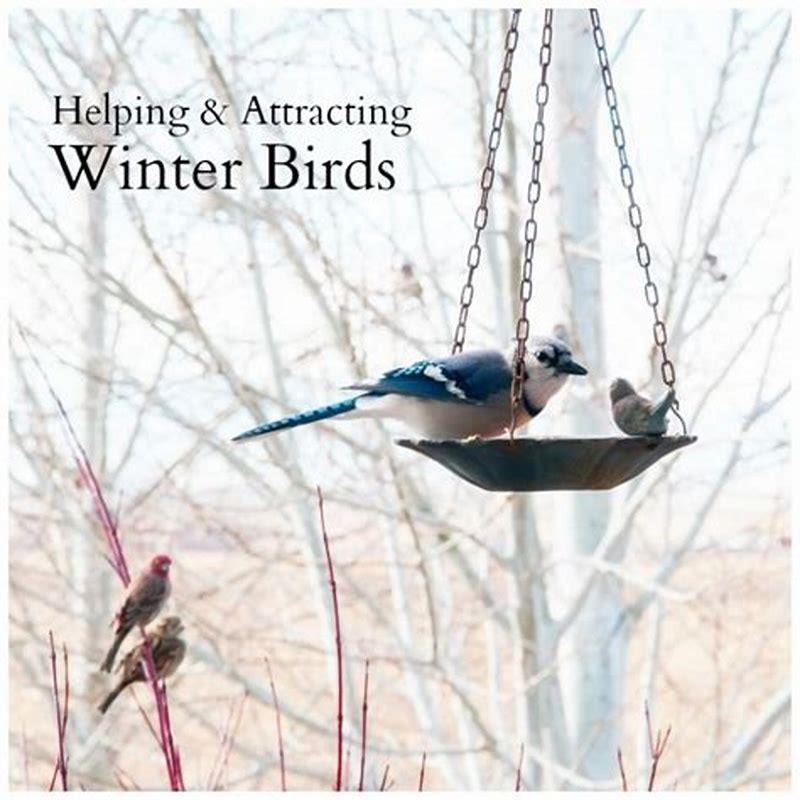 What bird stays in the winter?