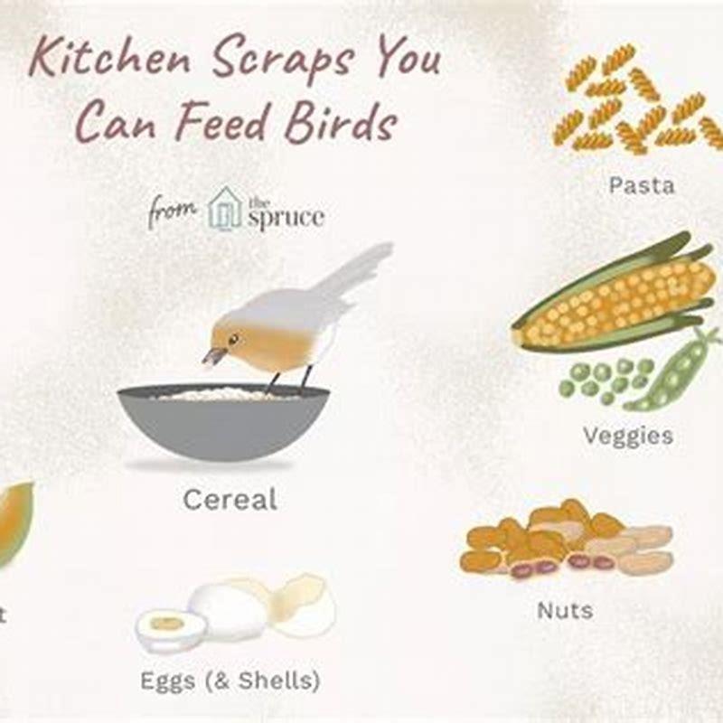 What can I feed wild birds from my kitchen?