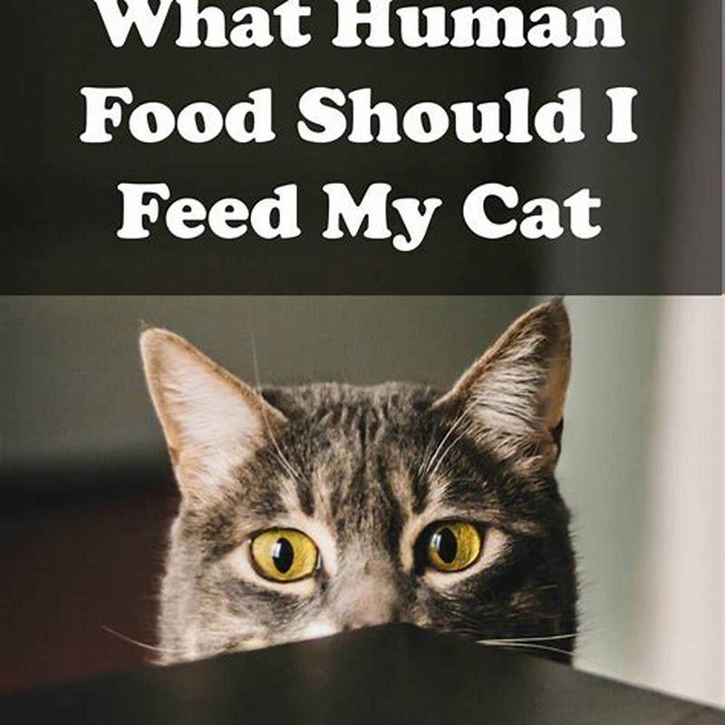 what-human-food-can-you-feed-cats-diy-seattle