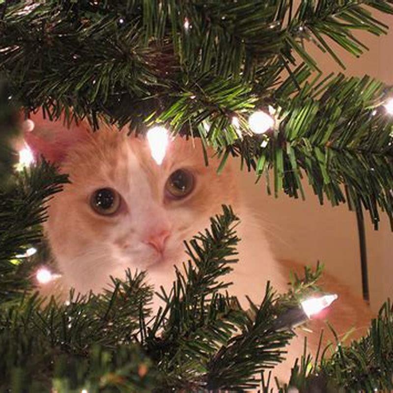 Are artificial Christmas trees toxic to cats? DIY Seattle