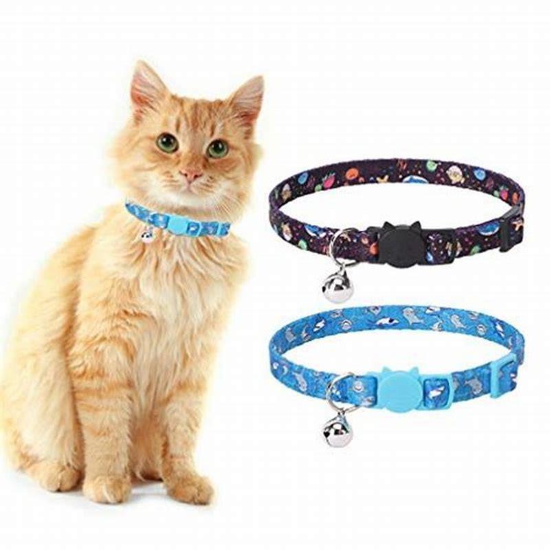 why breakaway collars for cats