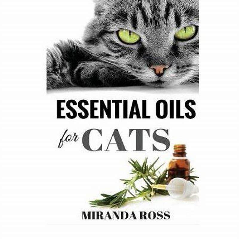 Are Diluted Essential Oils Toxic To Cats Diy Seattle 1097