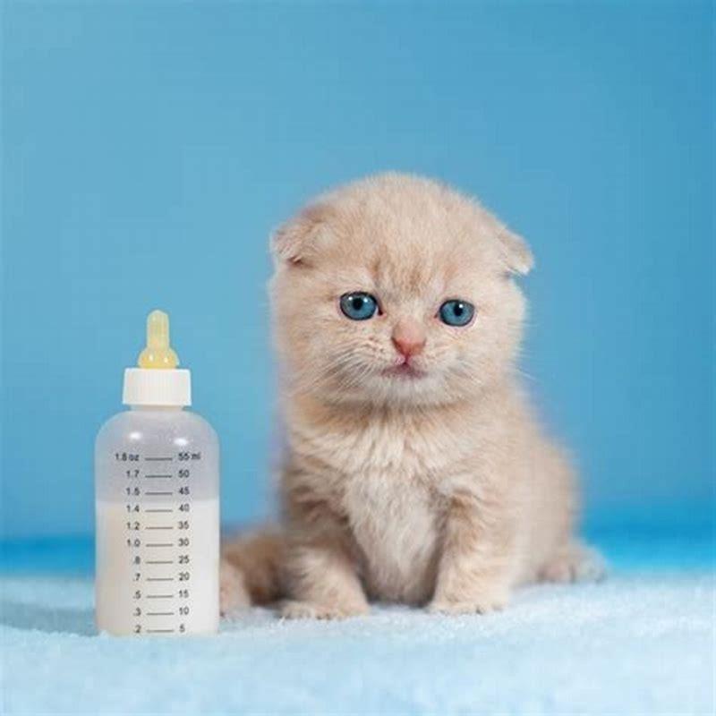 Can cats drink milk when they are older?