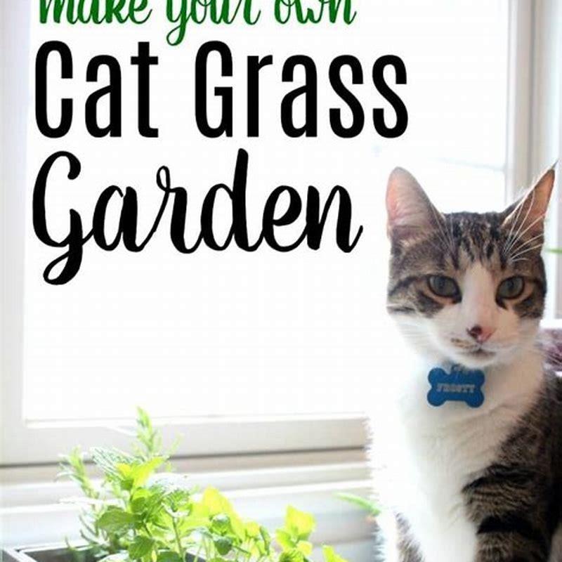 can-cats-have-herbs-diy-seattle