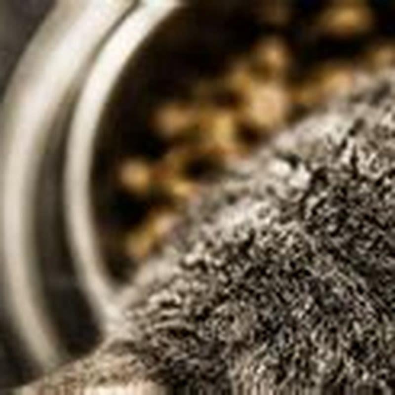 Can fleas make my cat ill?