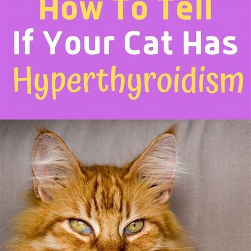 Can Hyperthyroidism Be Cured Completely