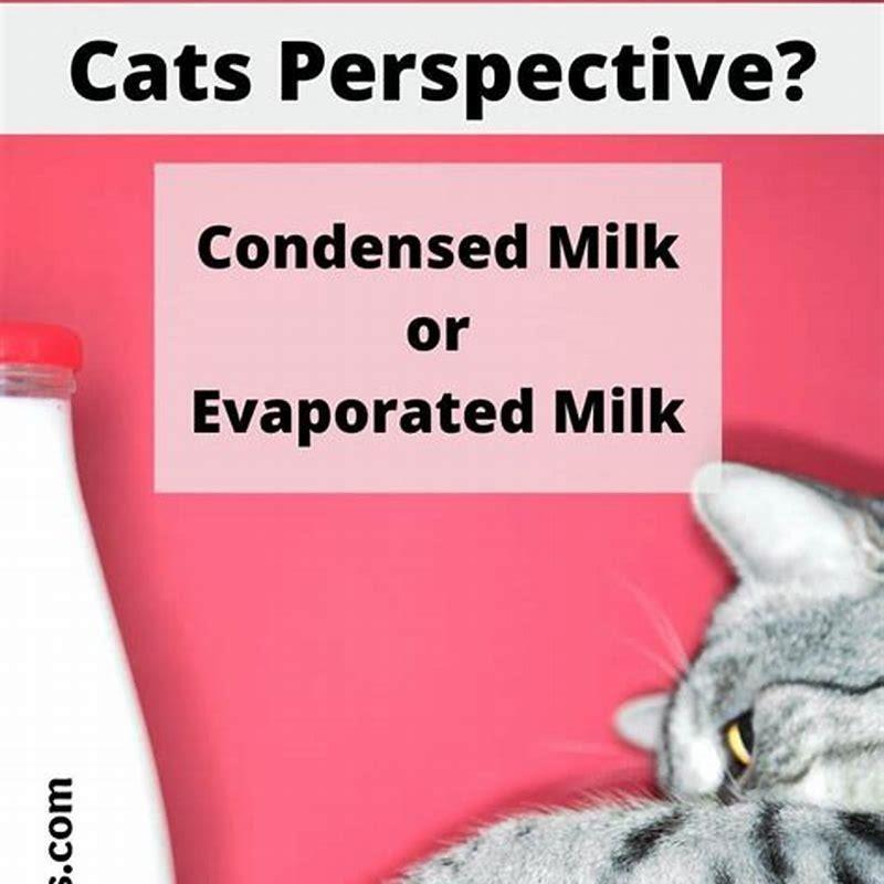 Can I give my cat milk as a treat? DIY Seattle