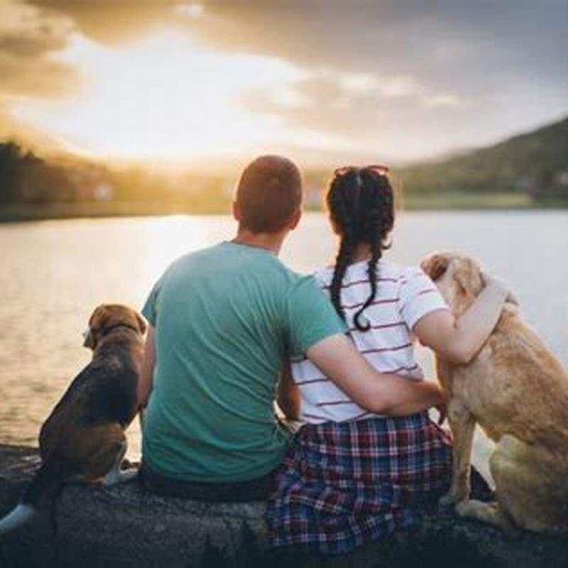 Can I pet cat and dog together?