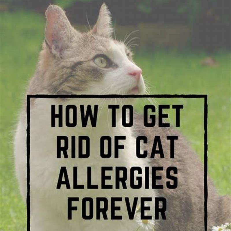 Can Cats Develop Food Allergies Later In Life