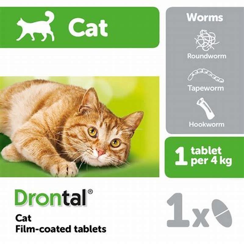 does-drontal-cover-all-worms-in-cats-diy-seattle