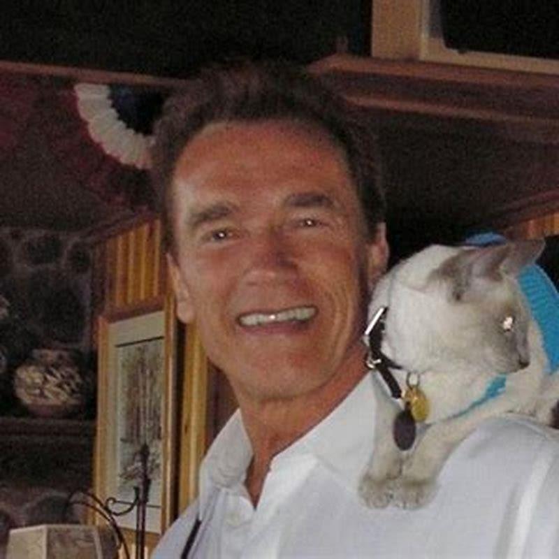 Does George Clooney love cats?