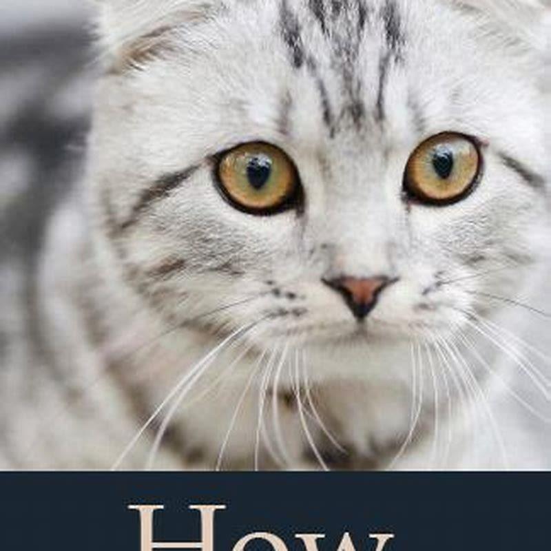 How can you tell if a cat has mites?