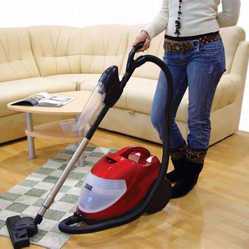 How do I flea bomb my house with pets?