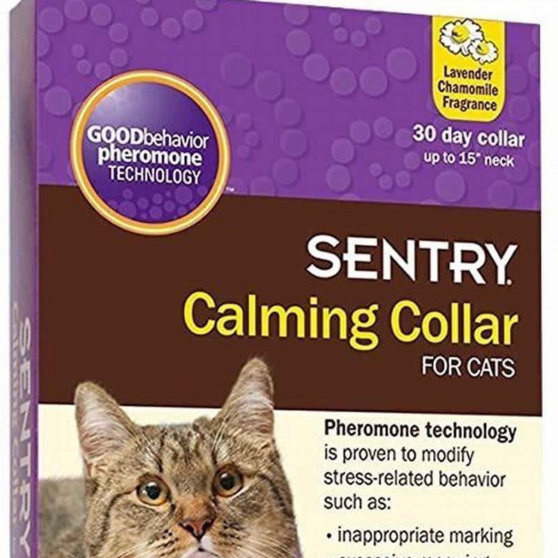 How do I know if my cat needs to be neutered?