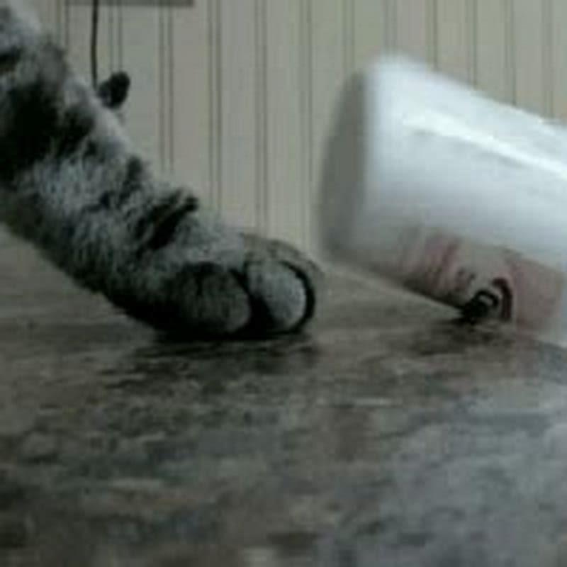 How do I stop my cat from knocking things over?