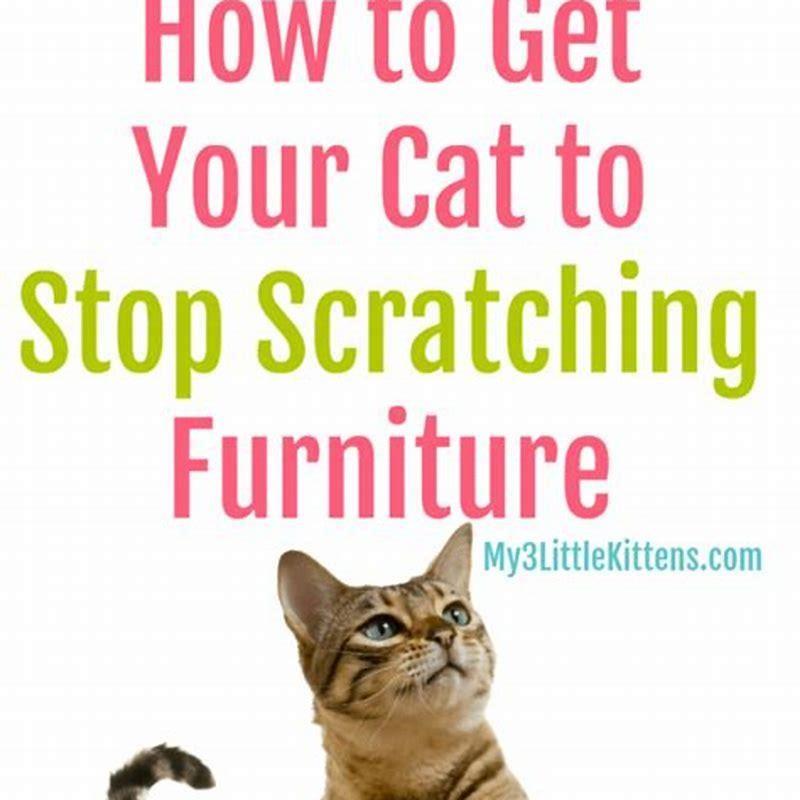 How do I stop my cat from scratching my furniture without declawing it?
