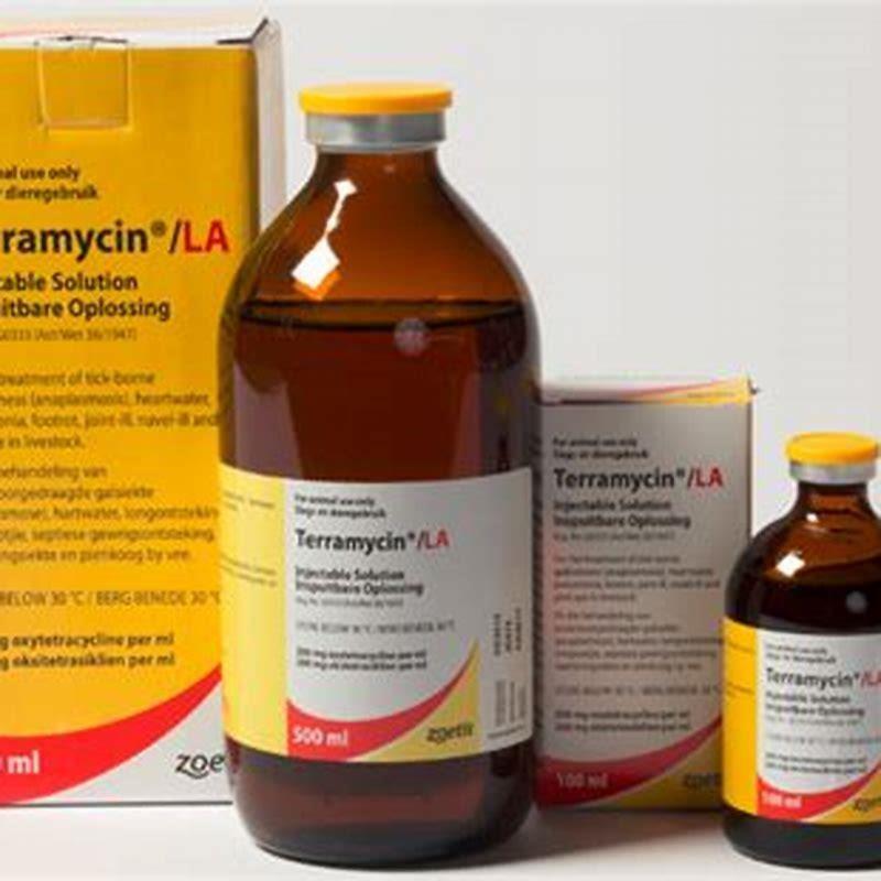 How do I use Terramycin? - DIY Seattle