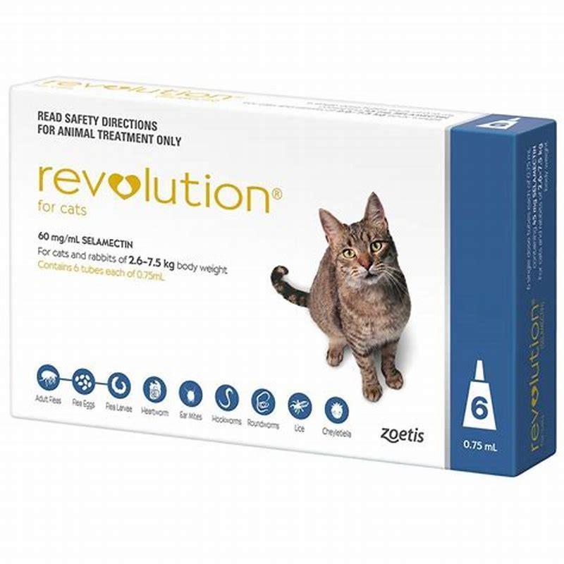 How do you apply revolution to a cat?