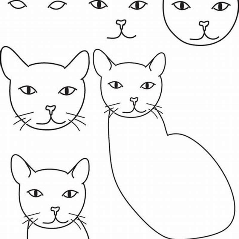 how-do-you-draw-a-easy-cat-diy-seattle