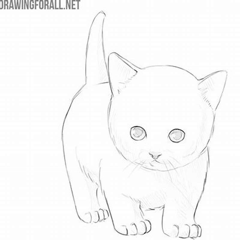 How do you draw a simple cat?