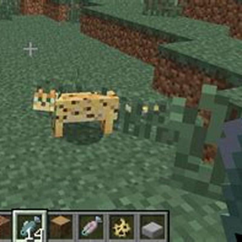 How do you feed a cat in Minecraft? - DIY Seattle