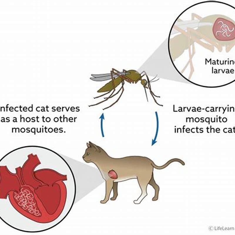 How Do I Get Rid Of Heartworms In My Dog