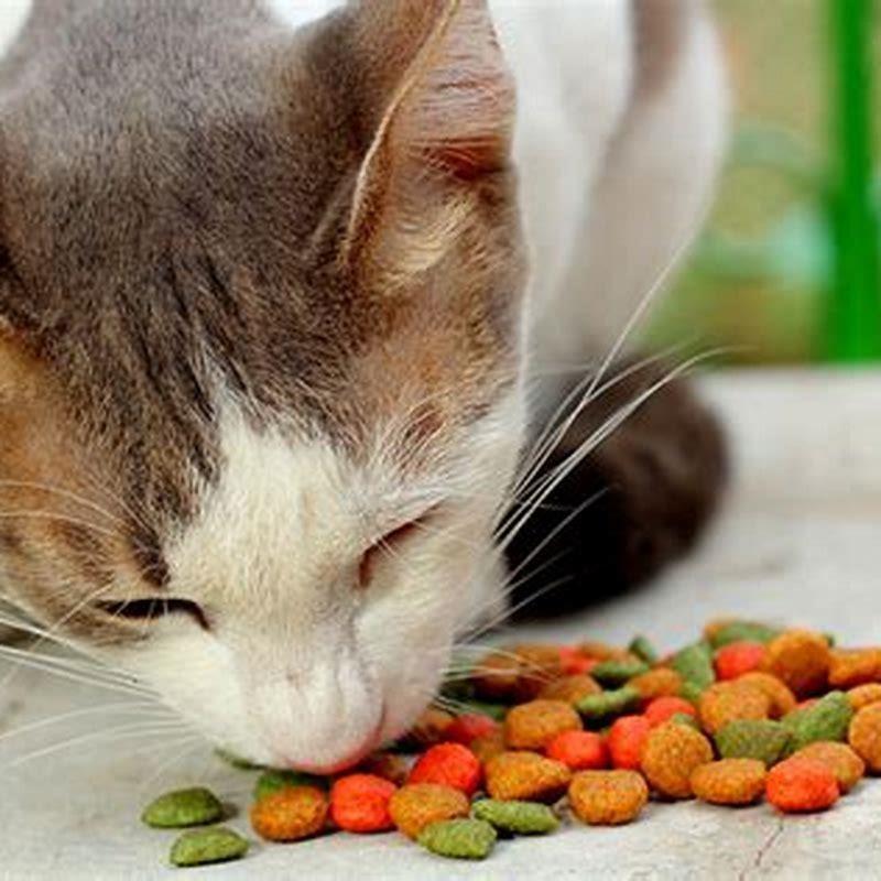 How do you treat a cat with FLUTD?
