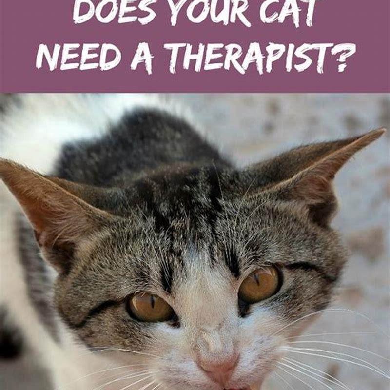 How does a cat call for help?