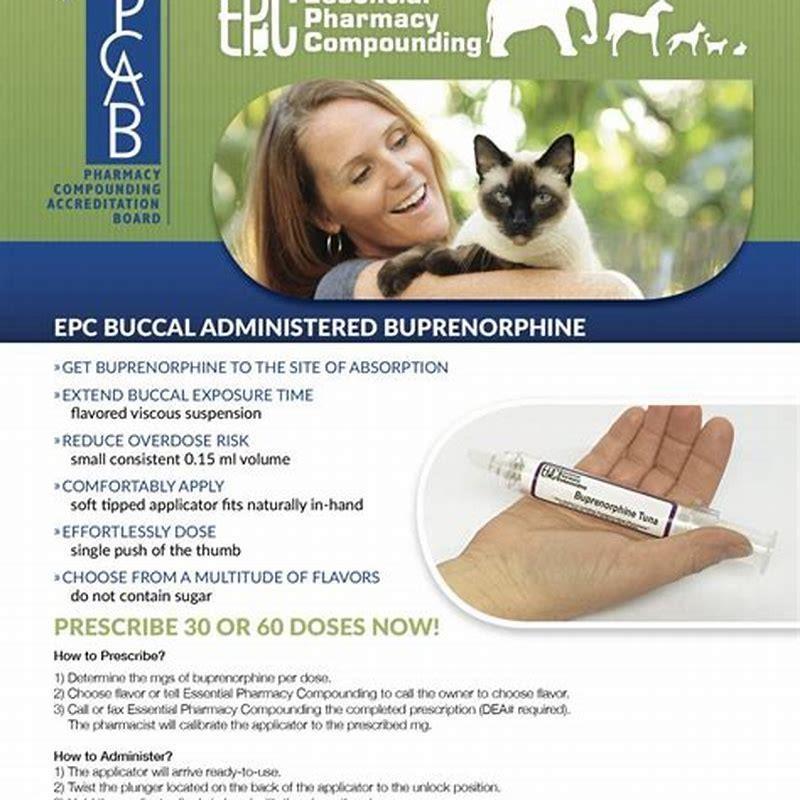 how-does-buprenorphine-work-on-cats-diy-seattle