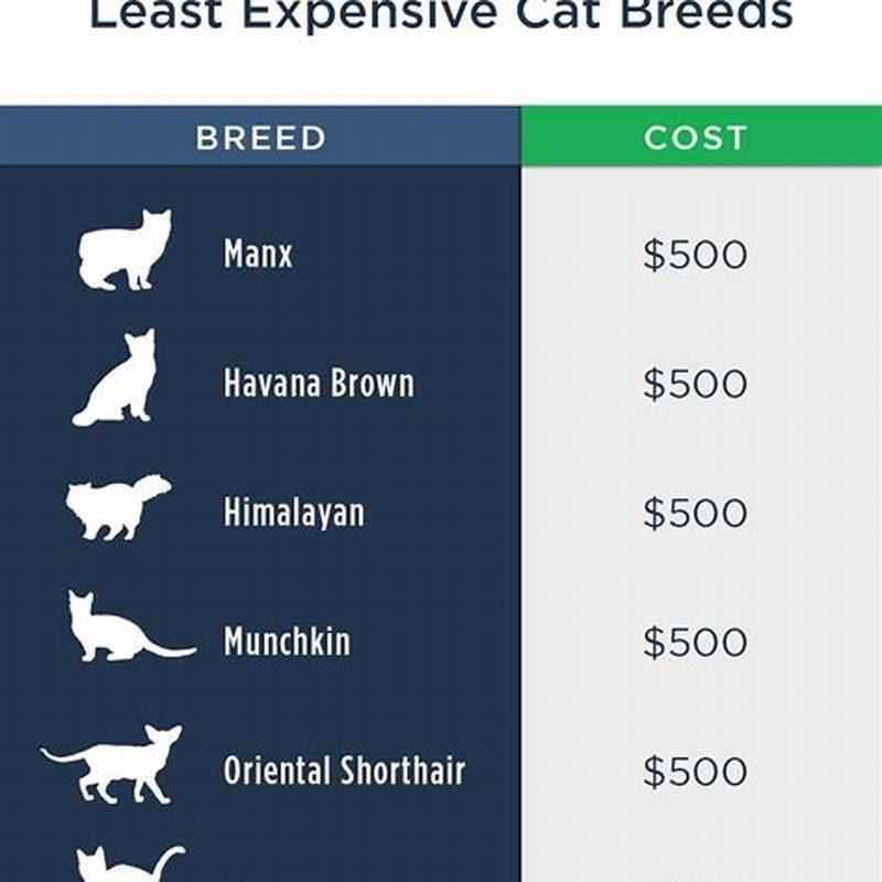 the-10-most-expensive-cat-breeds-in-the-world-mental-floss