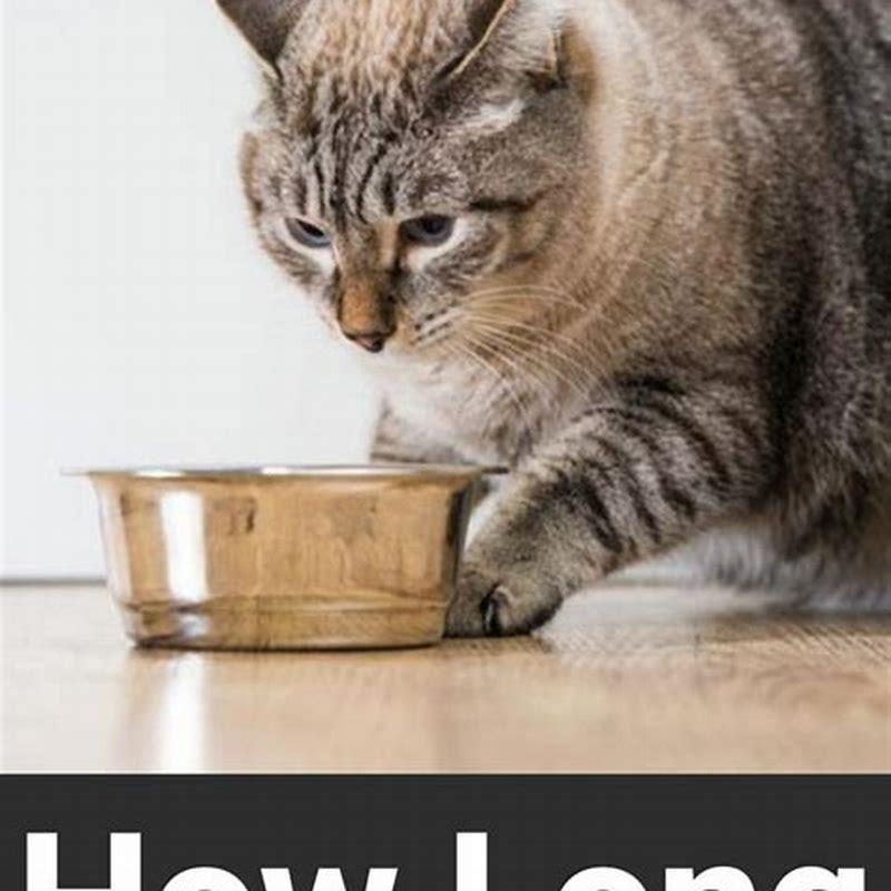 How Long Can cats go without taurine?