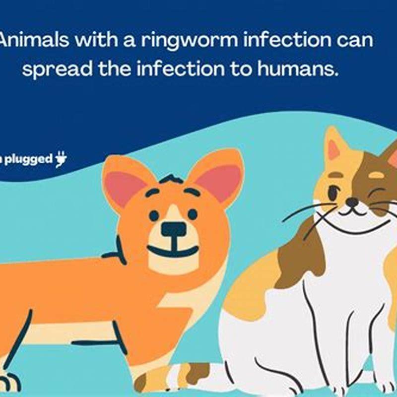 how-long-does-it-take-for-ringworm-to-clear-up-in-cats-diy-seattle