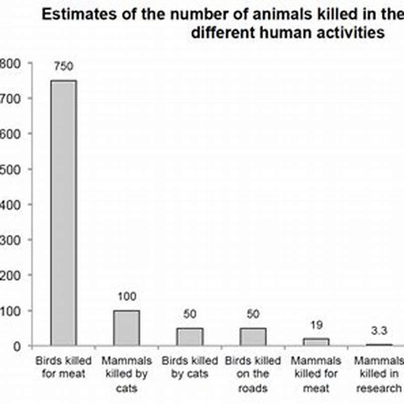 How many human deaths are caused by cats each year?