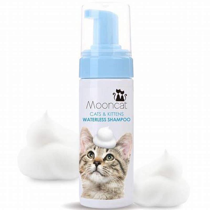 is-cat-shampoo-safe-for-cats-diy-seattle