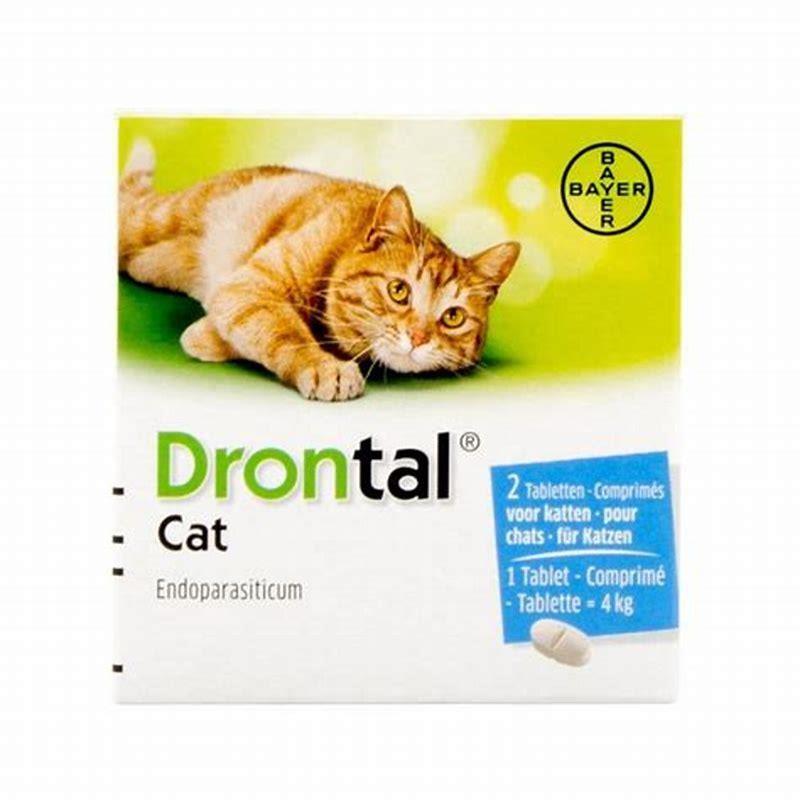 is-drontal-a-good-wormer-for-cats-diy-seattle