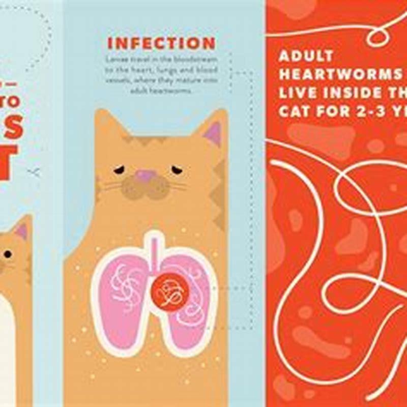 Is it rare for cats to get heartworms?
