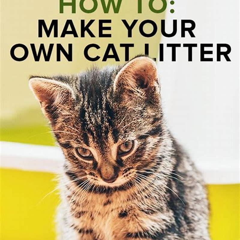 is-it-safe-for-my-cat-to-eat-cat-litter-diy-seattle