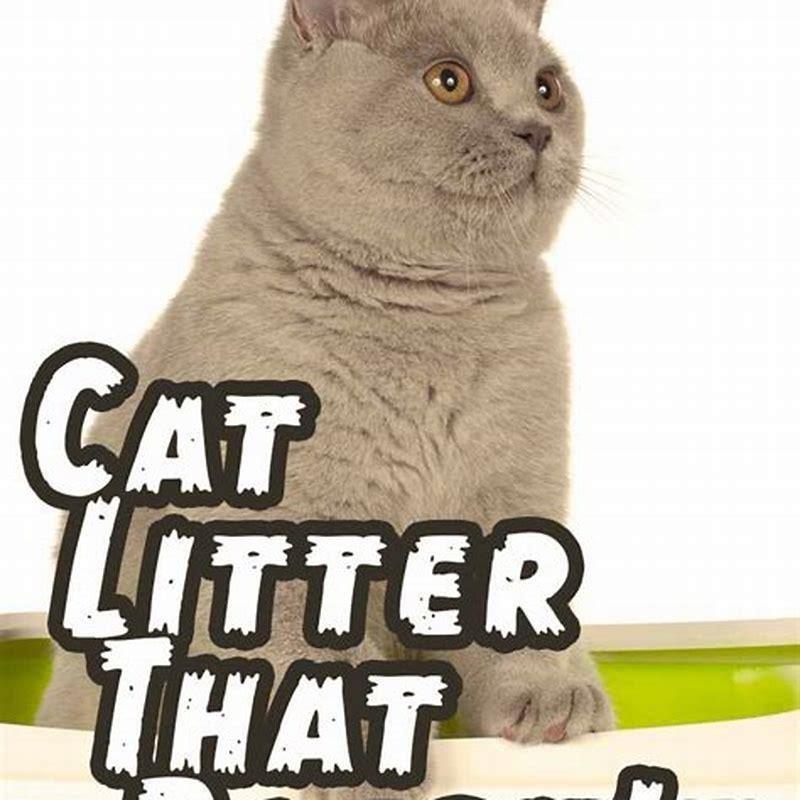 Is there a cat litter that doesnt track? DIY Seattle