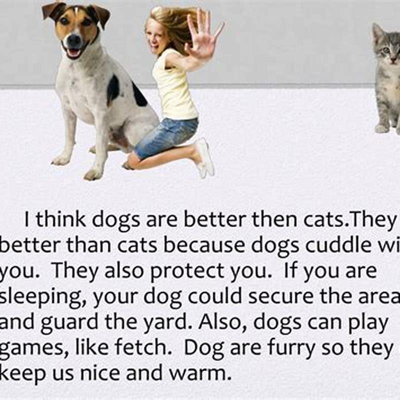 What are dogs better than cats? DIY Seattle