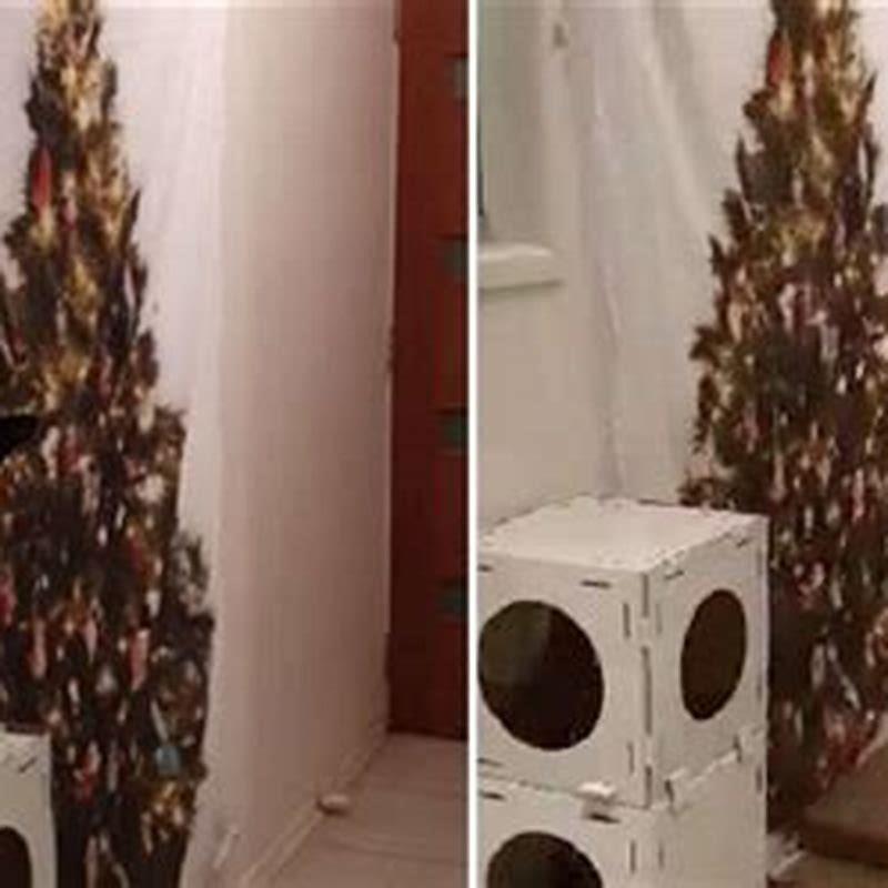 What attracts cats to Christmas trees?