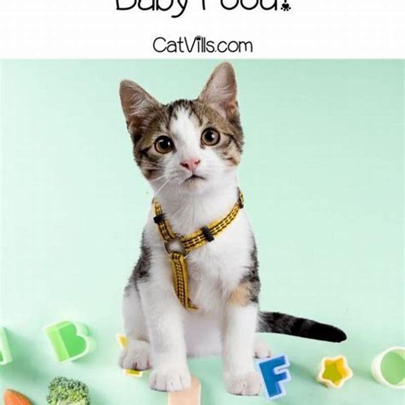 what-can-baby-cats-eat-diy-seattle