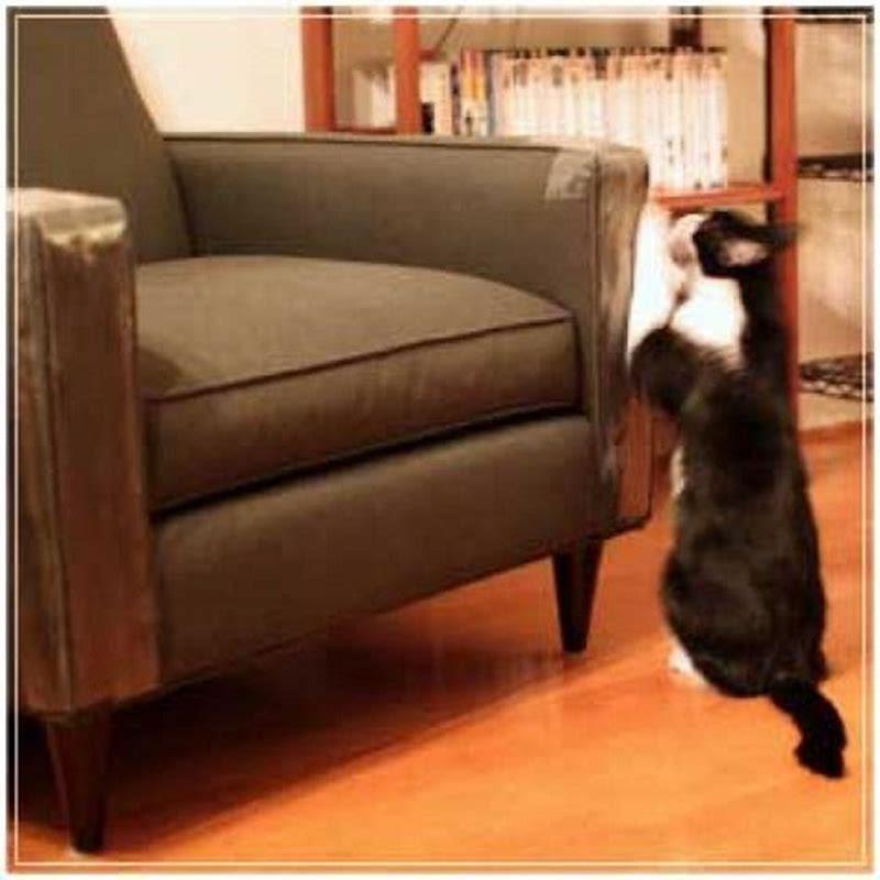 What can you put on furniture to keep cats off?
