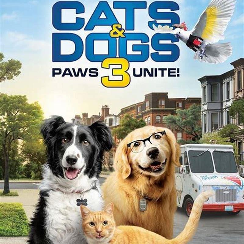 What cats go good with dogs?